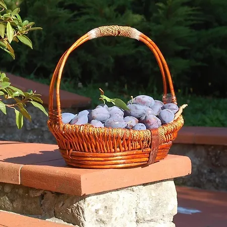 Diana Σπίτι διακοπών Castelnuovo di Garfagnana